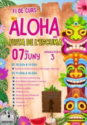 070625 FI DE CURS ALOHA 1 .jpg