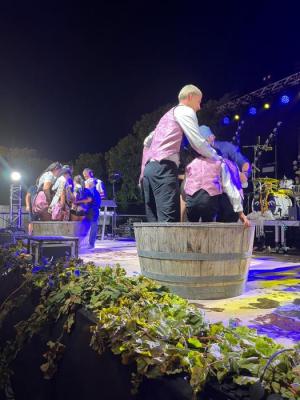 080925 FESTA DE LA VEREMA_TREPITJADA PUBILLATGE 2.jpg