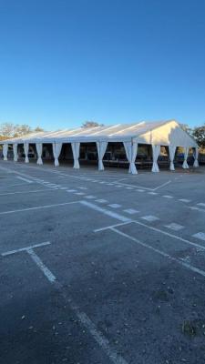 120226 CARPA CARNAVAL (3).jpg