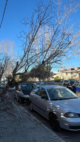 120226 Policia Local Incidències vent Cubelles (2).jpg