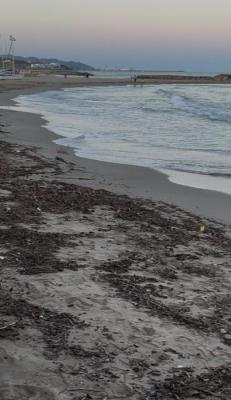 130725 EFECTES DESBORDAMENT FOIX 10 OK.jpg