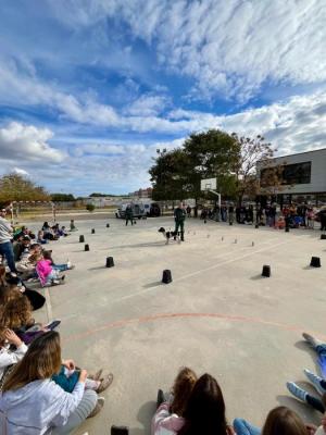 131225 MARATO MAR I CEL GOSSOS 1.jpg