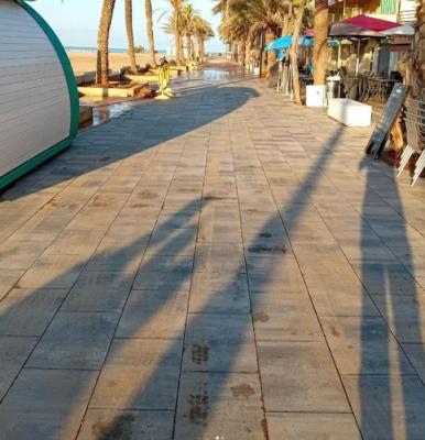 140725 NETEJA PASSEIG 1.jpg