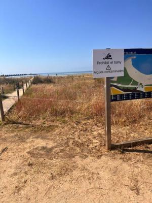 150725 PROHIBICIÓ AL BANY PLATGES 1.jpg