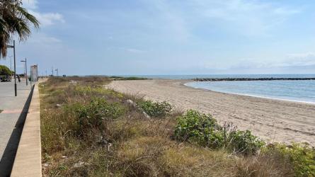 180925 NOVA FASE SISTEMA DUNAR PLATJA MOTA 3.jpg