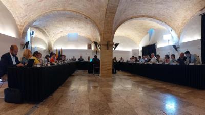 20250522_Ple CCG_2a.jpg