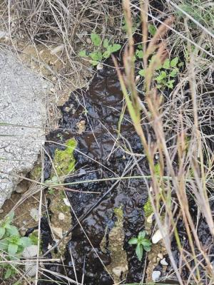 270126 Abocament_petroli_2.jpg