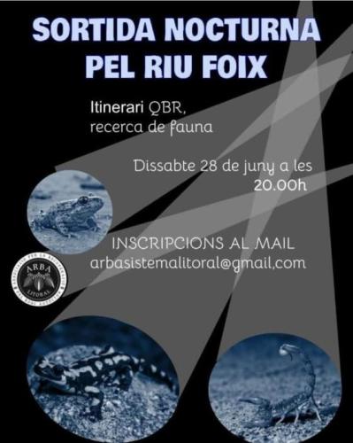 280625 Sortida Nocturna Riu Foix.jpg