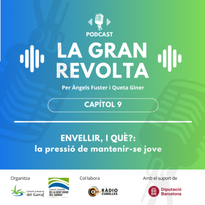 9. procés envellir.png