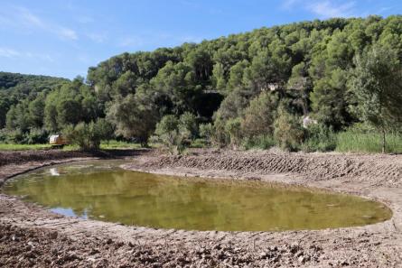 ACN PANTÀ FOIX 260925.jpeg