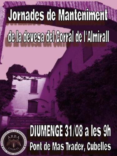 ARBA ACTIVITAT 310825.jpeg