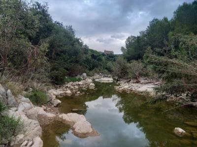 ARBA FOIX JULIOL 2025.jpeg