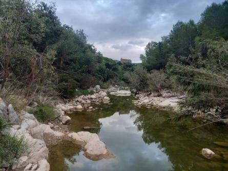 ARBA FOIX JULIOL 2025.jpeg