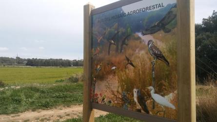 ARBA LITORAL PLAFONS 200325 2.jpeg