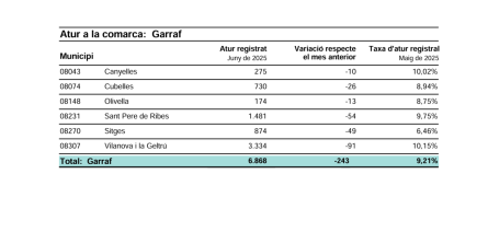 ATUR REGISTRAT JUNY 2025.png