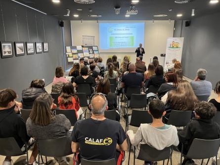 CONCURS DIBUIX GEC AMICS CASTELL (5).JPG