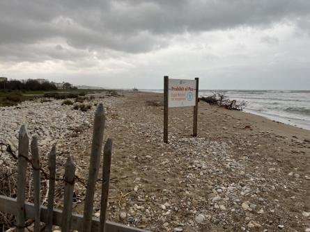 DESEMBOCADURA PLATJA MOTA 050326 (6).JPG