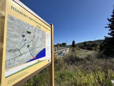 FOIX ARBA PLAFONS (2).JPG