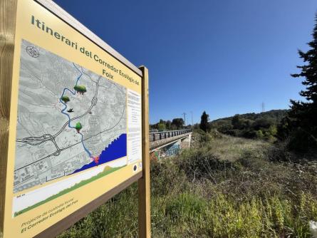 FOIX ARBA PLAFONS (2).JPG