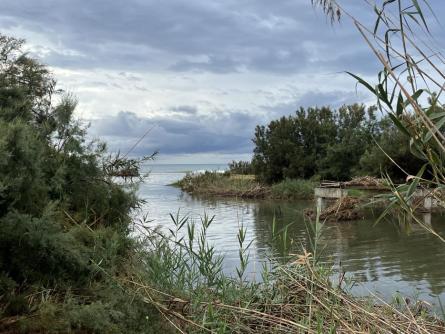 FOIX SETEMBRE 2025 (2).JPG