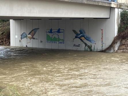 FOIX SOBREEIXIMENT 240725 (6).JPG