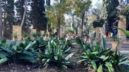 JARDINS CAN TRAVE (1).jpg