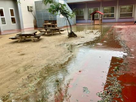 pati vora del mar veins per cubelles 1.jpg