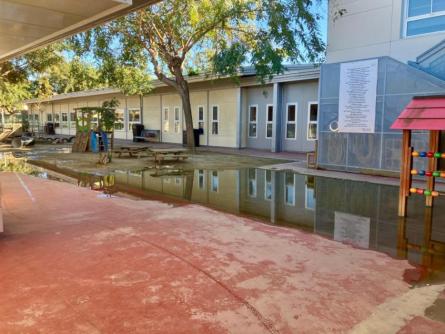 pati vora del mar veins per cubelles 2.jpg