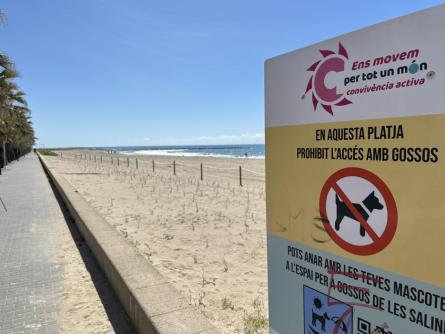 PLATJA MOTA 2024 (5).JPG