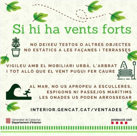 PROCICAT VENTADES (1).jpeg