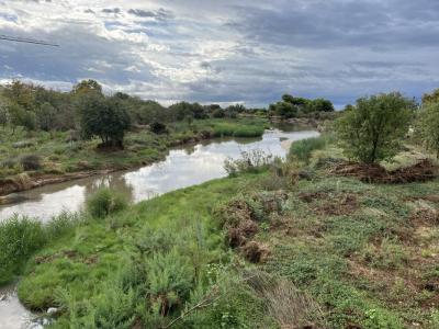 RIU FOIX 090925 (1).JPG