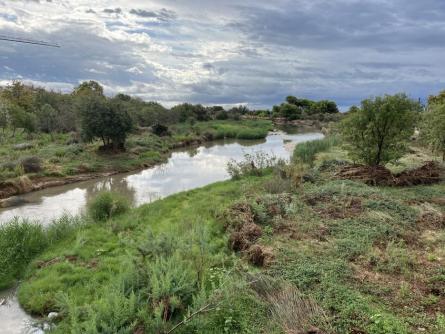 RIU FOIX 090925 (1).JPG