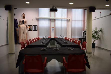 sala-plens-buida-2011-3.jpg