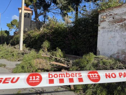 VENT CASA ESTAPE 110226 (3).JPG