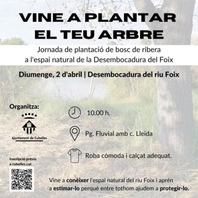 vine-a-plantar-el-teu-arbre.jpg